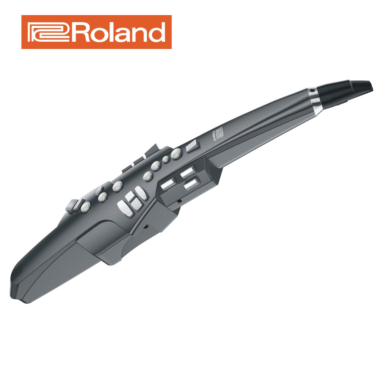 Roland 롤랜드 전자색소폰 에어로폰 AE-10G
