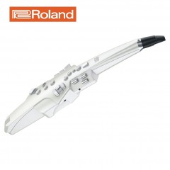 Roland 롤랜드 전자색소폰 에어로폰 AE-10