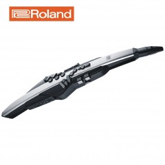 Roland 롤랜드 전자색소폰 에어로폰 프로 AE-30