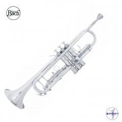 바하 TR600S Bb 트럼펫